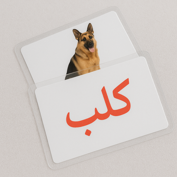 بطاقات مجموعة القراءة - الحيوانات