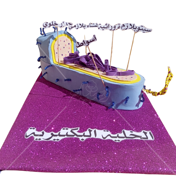 مجسم الخلية البكتيرية التفاعلي