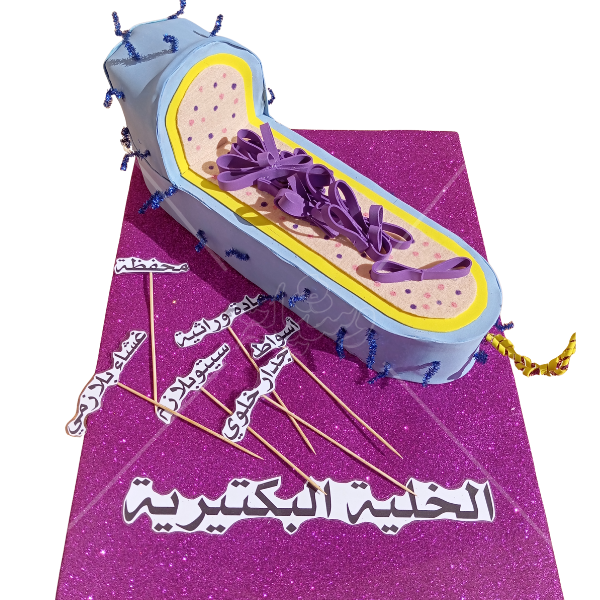 مجسم الخلية البكتيرية التفاعلي