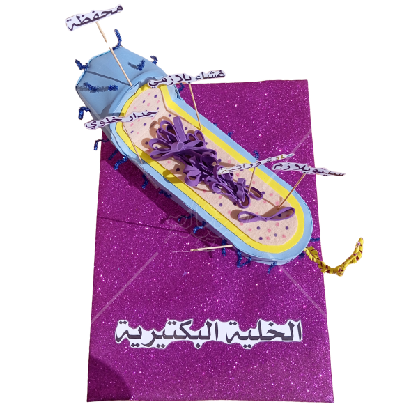 مجسم الخلية البكتيرية التفاعلي