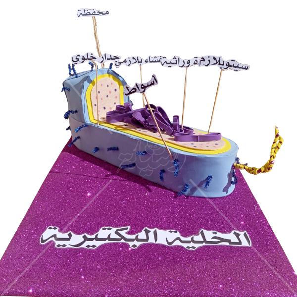 مجسم الخلية البكتيرية التفاعلي