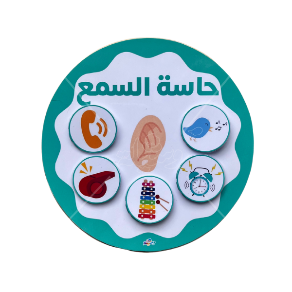 نشاط الحواس الخمسة